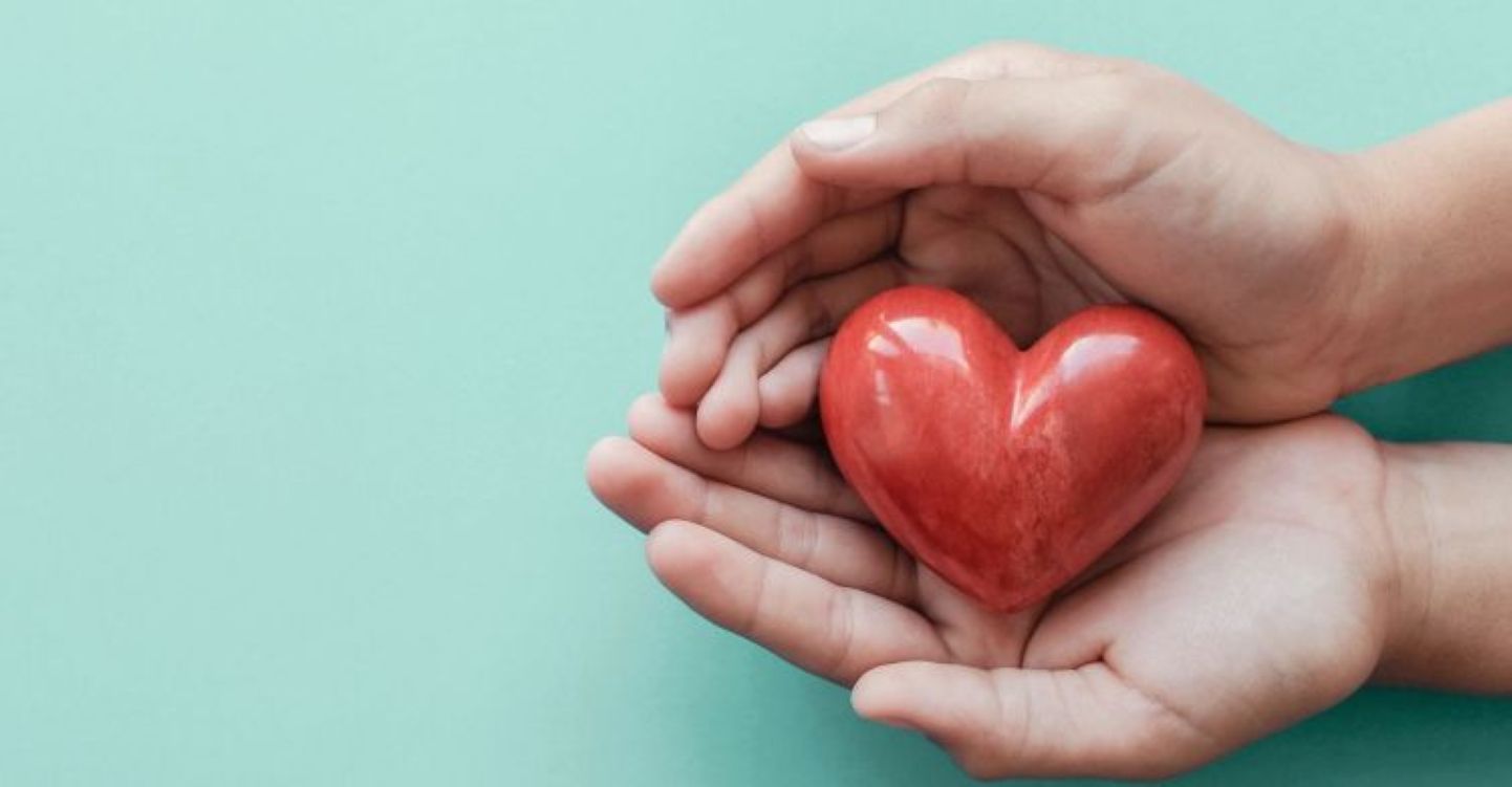 Heart in hand 
