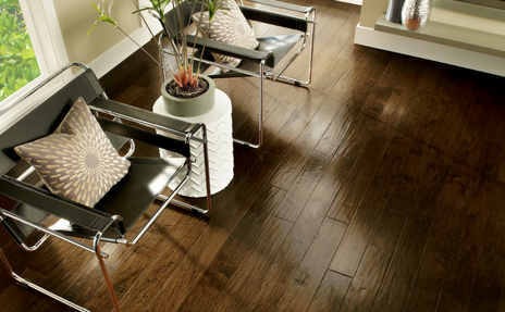 Medium Hardwood Floor with two Modern Metal Chairs