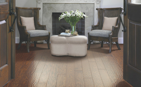 Dark Hardwood in sitting room with two chairs